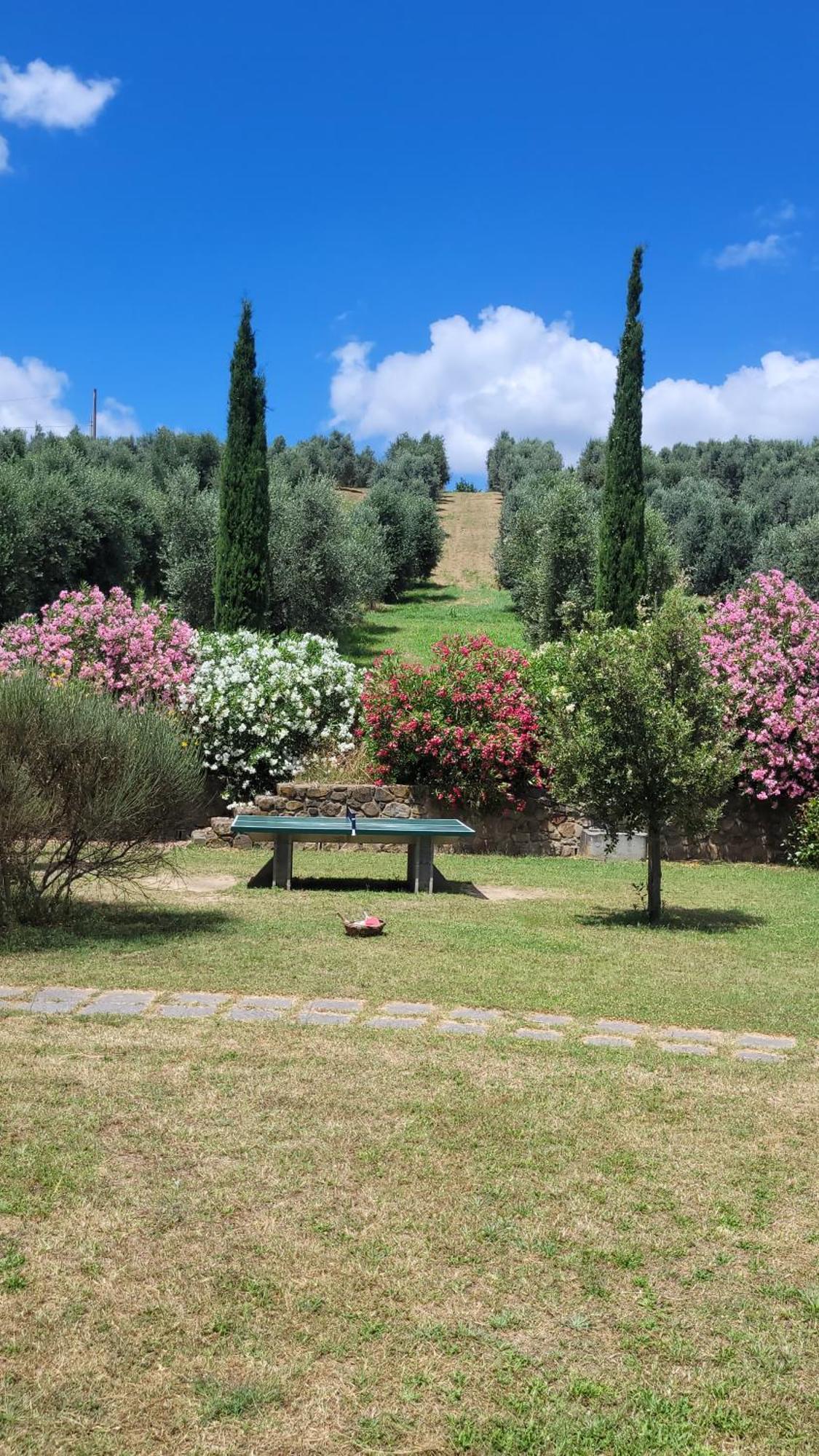 Agriturismo Podere Casalone Limite المظهر الخارجي الصورة