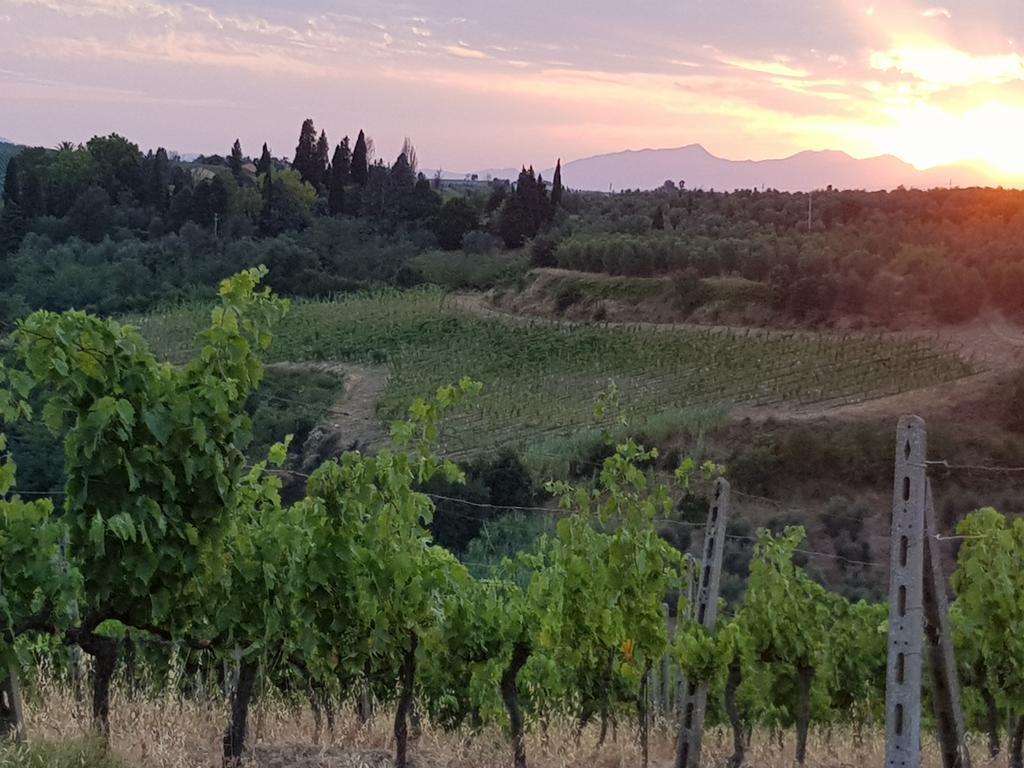 Agriturismo Podere Casalone Limite المظهر الخارجي الصورة